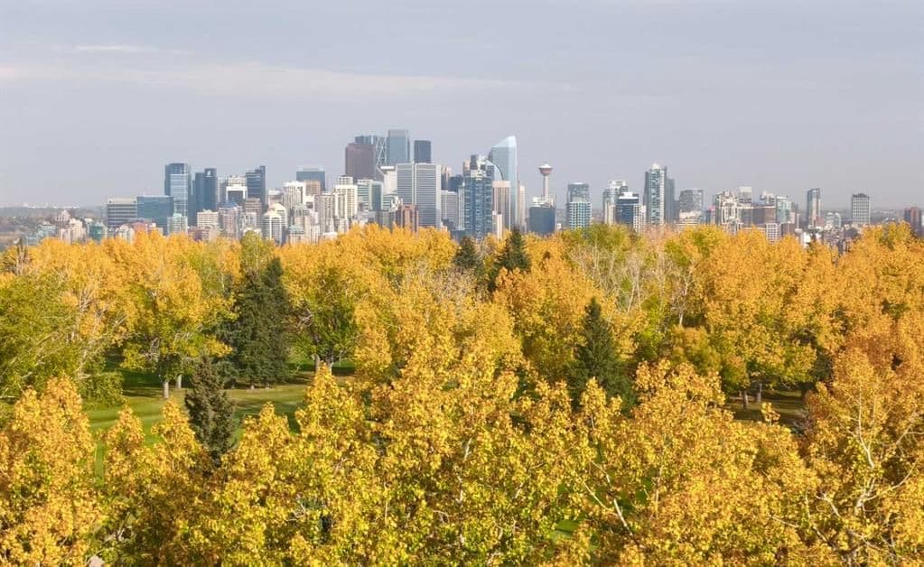 Recently sold home in Spruce Cliff